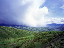 Nez Perce Indian forest rain; rain clouds in Western Idaho