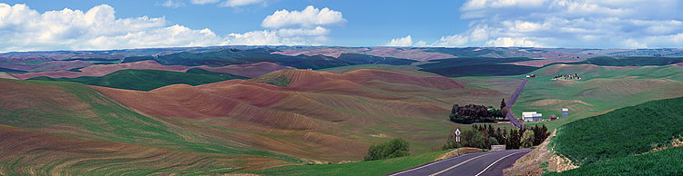 Palouse Country Washington; panorama taken of Clear Creek Road; picture sold as framed photo or canvas