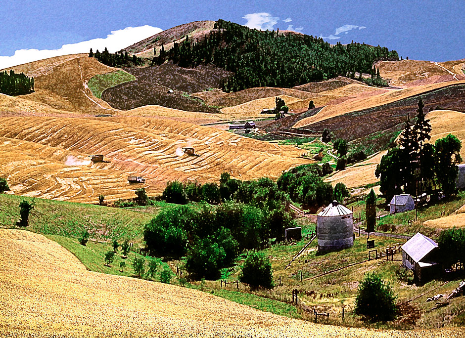 Buy this Grain harvest with 2 wheat combines near Moscow, ID computer painting