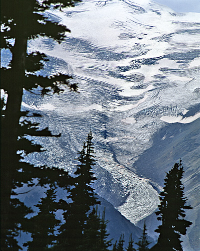 Closeup of Mt. Rainier examining Emmon's Glacier