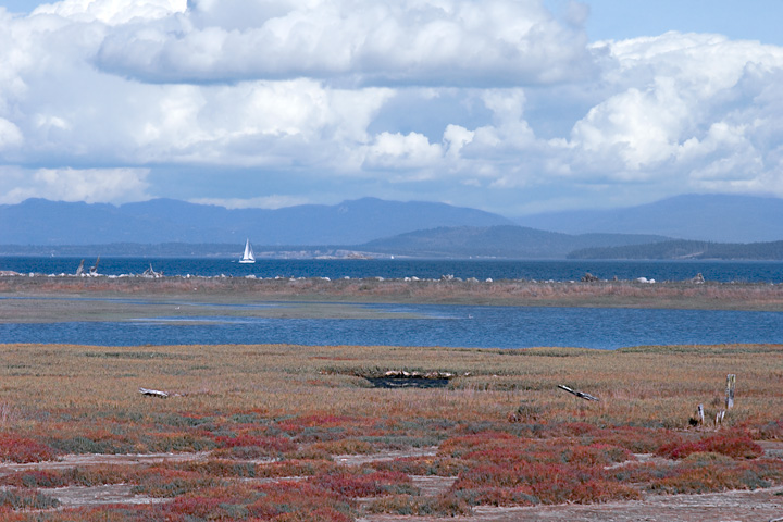 Scenic Washington, Puget Sound, Lopez Island red, white and blue