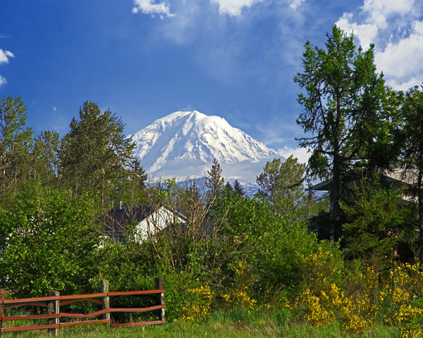 Mount Rainier from Kent Washington Sunny Day Photo for sale,Puget Sound photographs