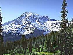 Mt. Rainier from Highway 706, Gifford Pinchot National Forest