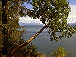 Overlooking Port Susan and the North Cascades from building site on Camano Island