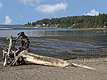 North of Dash Point is Dumas Bay, WA