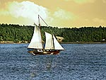 Sailboat on Puget Sound