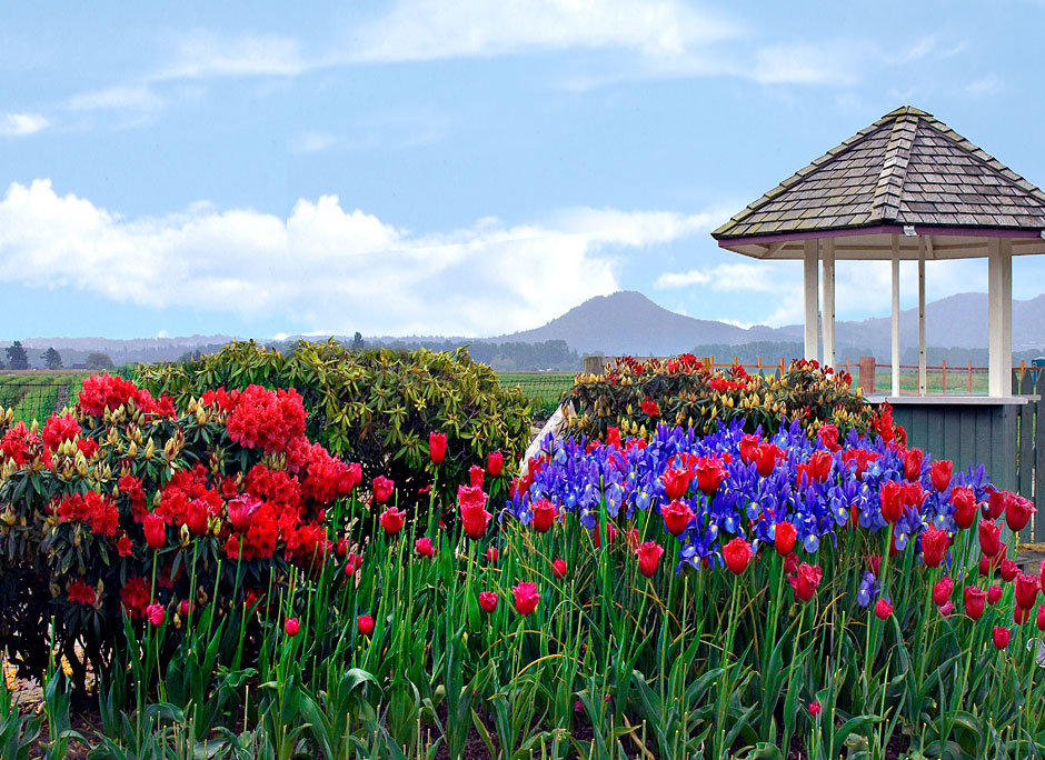 Buy this Little Mountain - A lookout point in Mt. Vernon seen from Roozengaarde Garden photograph