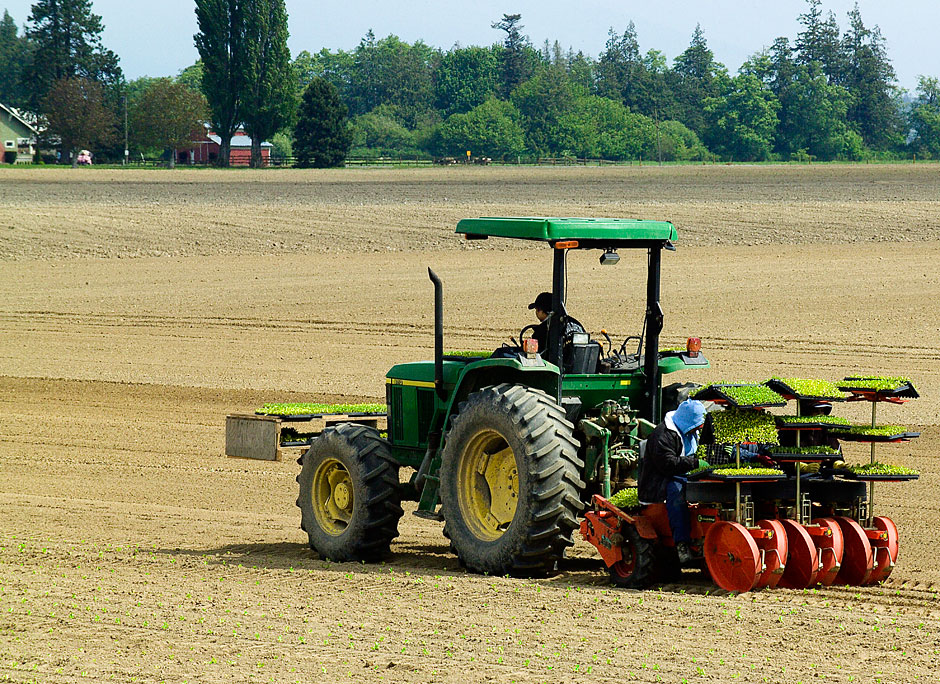 Buy this Men operating a lettuce planter; Skagit Valley Washington photograph