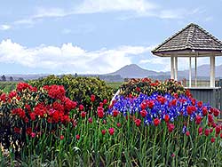 Little Mountain - A lookout point in Mt. Vernon seen from Roozengaarde Garden