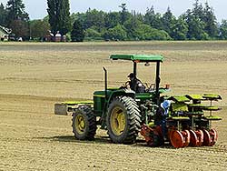 Men operating a lettuce planter; Skagit Valley Washington