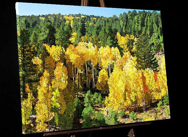 Landscape Art - Dixie National Forest - yellow aspens photo to painting 