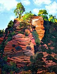 from Zion Park Boulevard, Zion NP, Utah