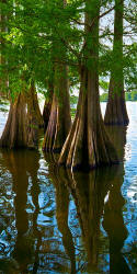 Lake Providence Louisiana