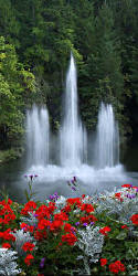 Butchardt Gardens Water Fountain; Victoria, BC