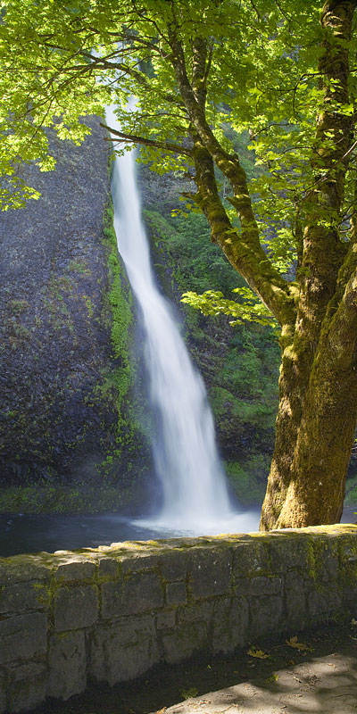 Vertical Panorama of Horsetail Falls, Columbia Gorge Oregon