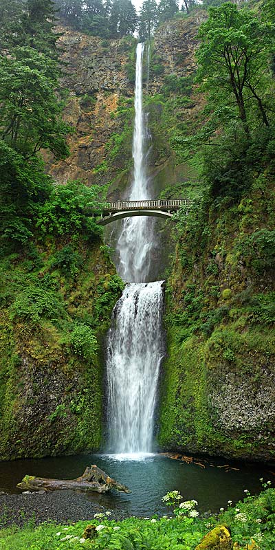 Vertical Panorama of Multnomah Falls - Columbia Gorge Oregon