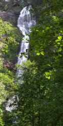 Munson Creek Falls, Tillamook Oregon Pan