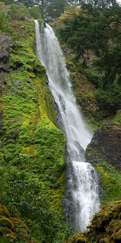Starvation Creek Falls in Columbia Gorge, Oregon