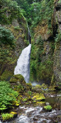 Wahclella Falls in Columbia Gorge Oregon