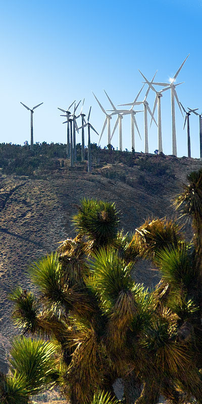 Vertical Panorama of Wind Power; Windmills in Mojave, CA