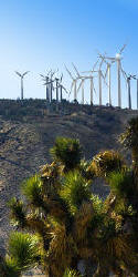 Vertical pan Wind Farm in Mojave, CA