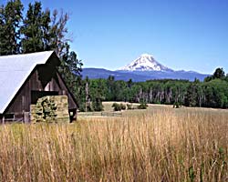 Farming grass hay under Mt Adams, Washington