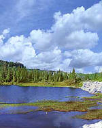 Mount Rainier National Park