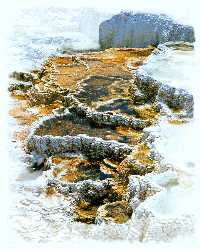 Minerva Springs is a closeup of travertine limestone terraces