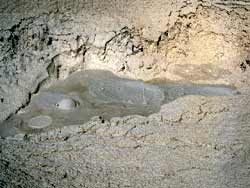 Boiling Mud at Yellowstone