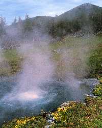Geyser steam, Yellowstone National Park