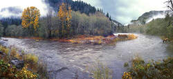 Oregon panorama - Elk - Nehalem River - Oregon Coast