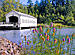 Every Oregon Covered Bridge; Photorealistic Sketch Art