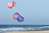 Oregon Beaches includes South Oregon Coast and Lincoln City, Newport