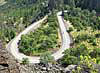 Balsam Root, Columbia Gorge, Starvation Creek, Latourell, Wahkeena, Elowah and Multnomah Falls