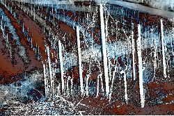 Computer Graphic of Snow on Winter Grape plants