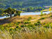1113 - Emigrant Lake Grasses; south of Ashland in Jackson County