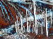 0045 Snow (Winter Grapes)
