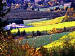 0043 Painting (Oregon Winery)